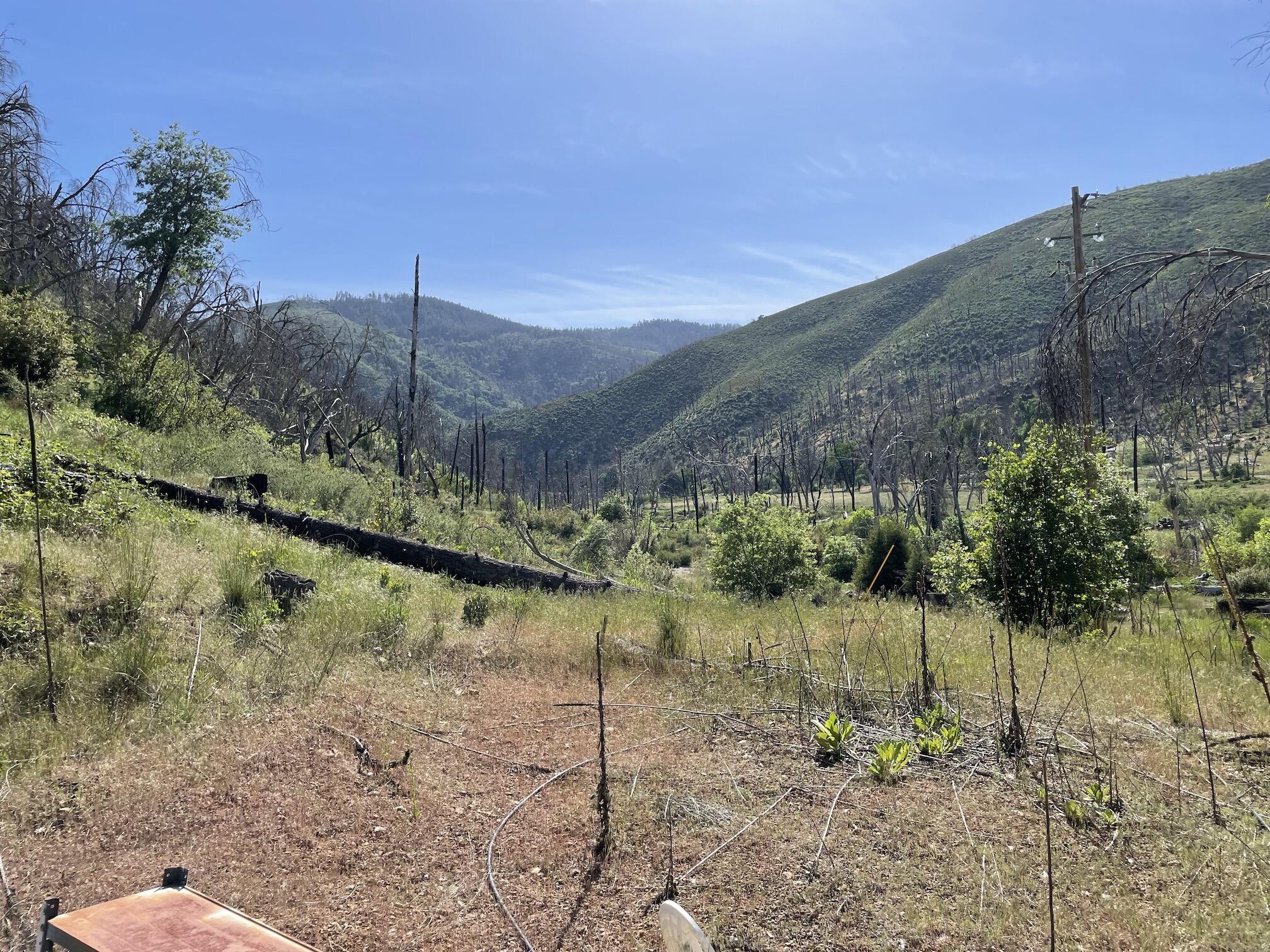15917 Log Cabin Road French Gulch, CA 96033 - Photo 18 of 24 a view of lake with mountain in background