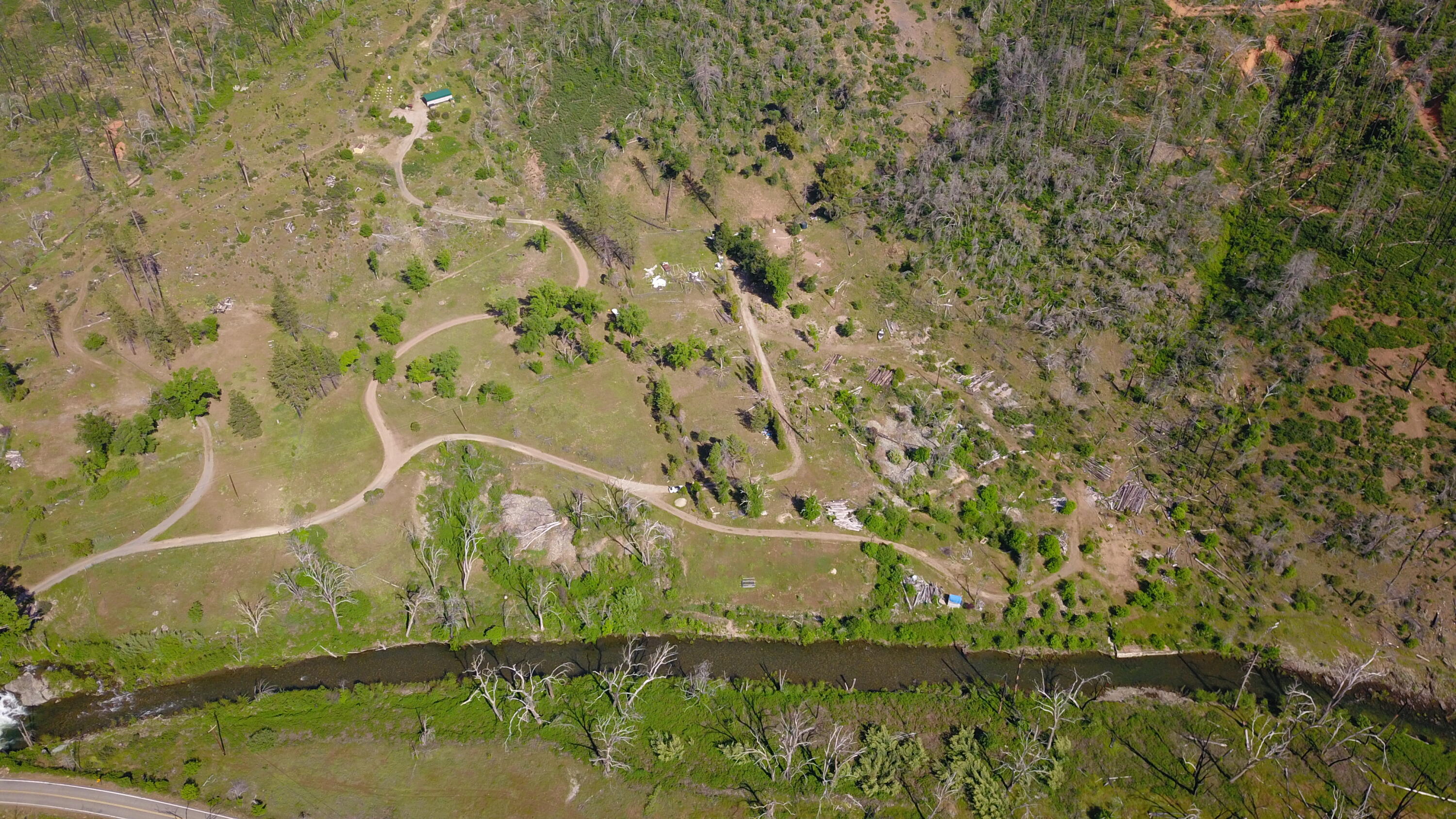 15917 Log Cabin Road French Gulch, CA 96033 - Photo 3 of 24