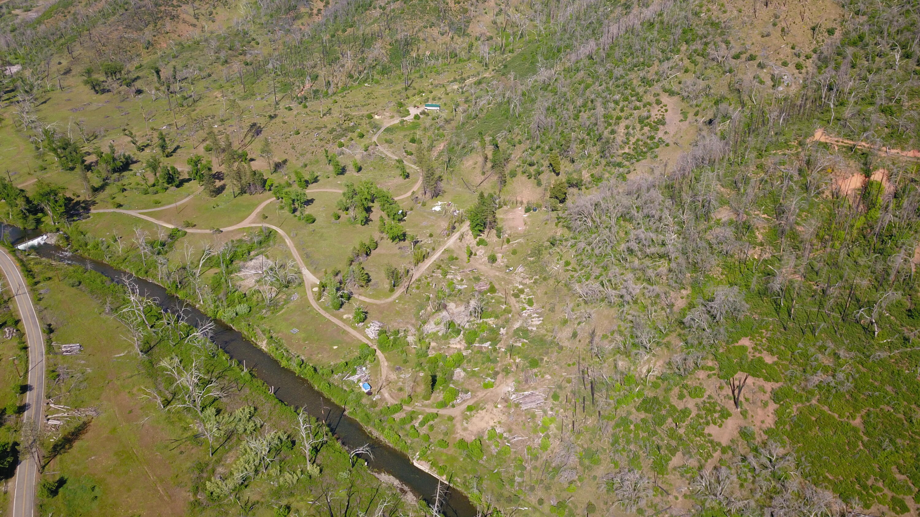 15917 Log Cabin Road French Gulch, CA 96033 - Photo 4 of 24 a close up of a wall with a small yard