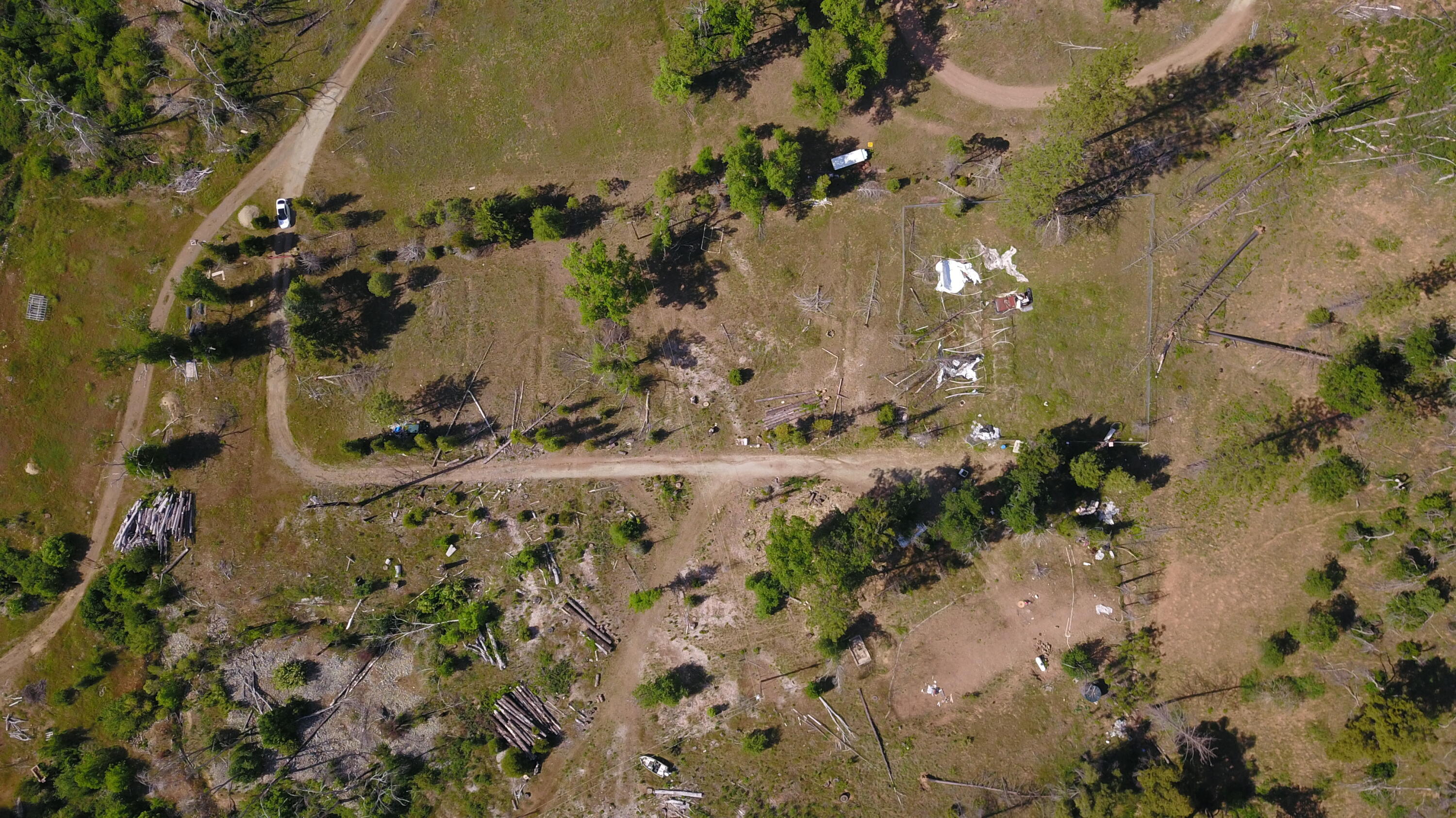 15917 Log Cabin Road French Gulch, CA 96033 - Photo 5 of 24 a view of a yard