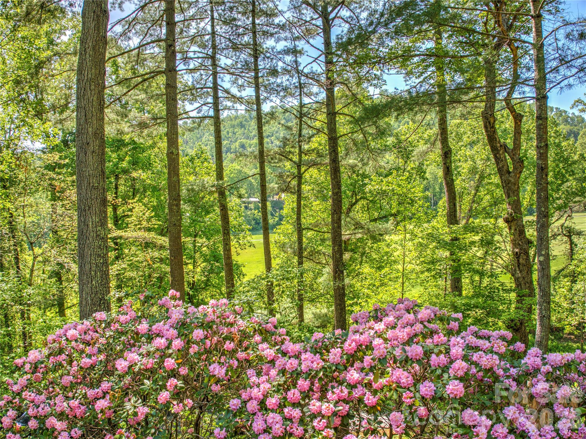 200 Robinhood Road Asheville, NC 28804 - Photo 4 of 48