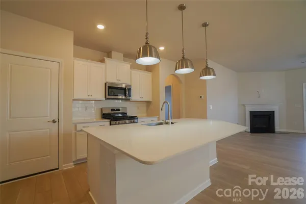 a kitchen with a sink a counter space stainless steel appliances and cabinets