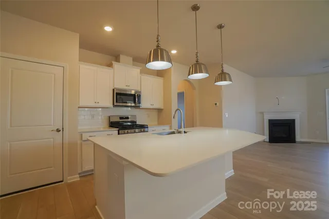 a kitchen with a sink a counter space stainless steel appliances and cabinets