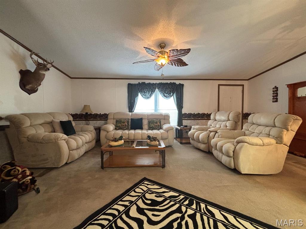 18096 Monroe Road 453 Paris, MO 65275 - Photo 32 of 56