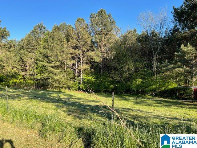 1128 County Road 159 Lafayette, AL 36862 - Photo 5 of 15