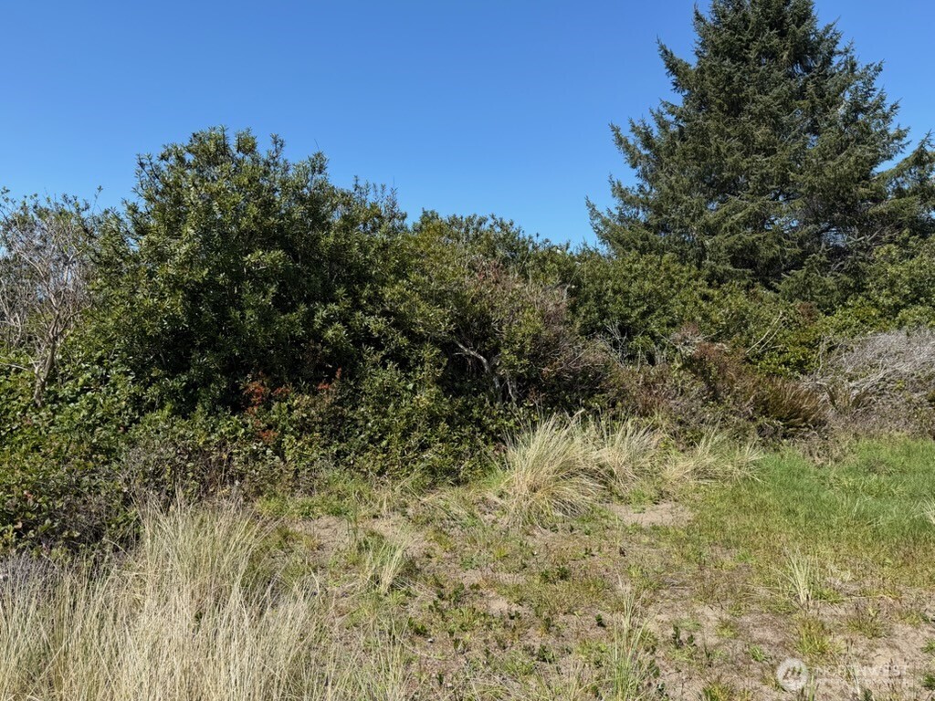 191 North Razor Clam Drive Southwest Ocean Shores, WA 98569 - Photo 2 of 10