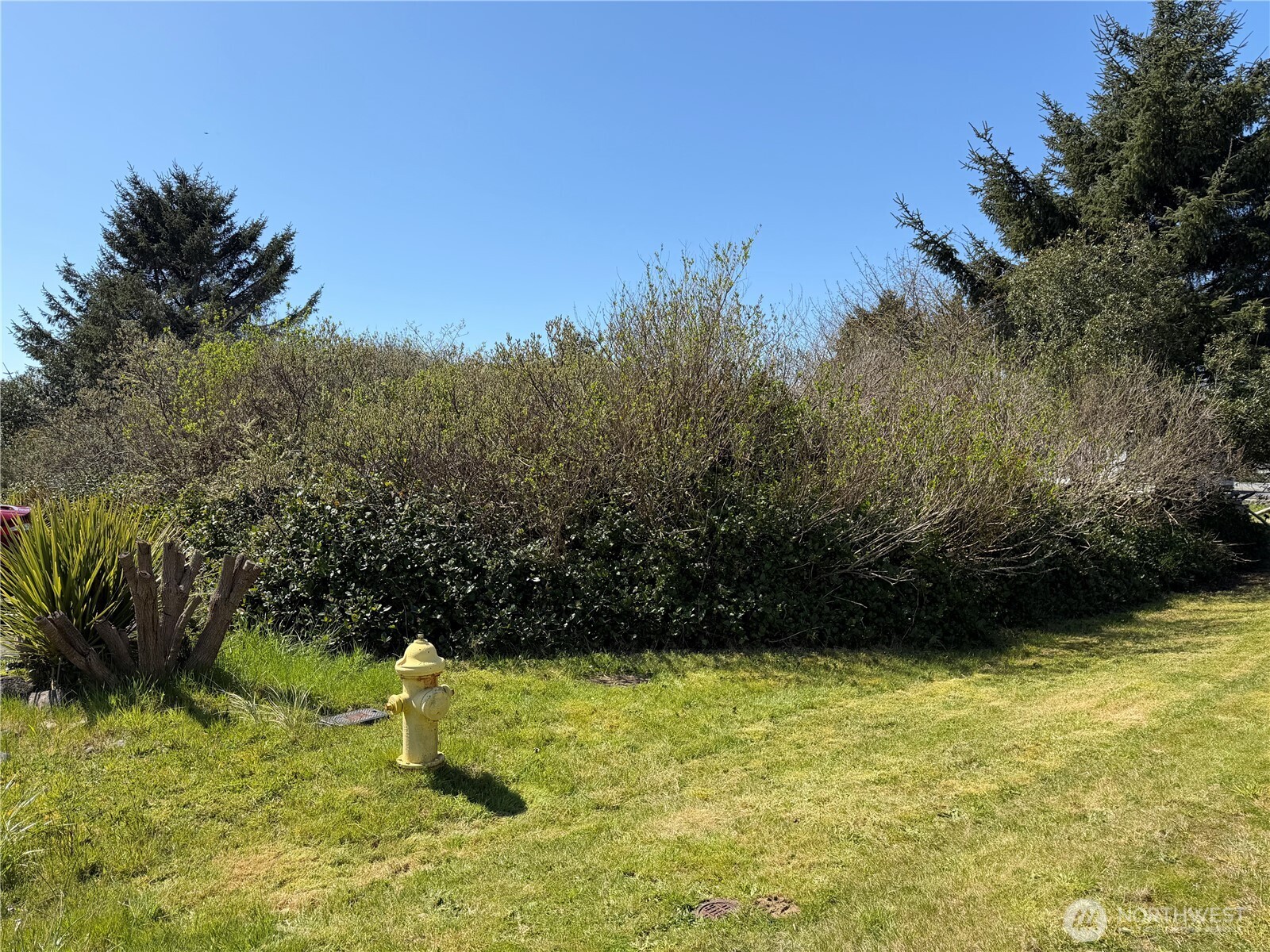 191 North Razor Clam Drive Southwest Ocean Shores, WA 98569 - Photo 5 of 10