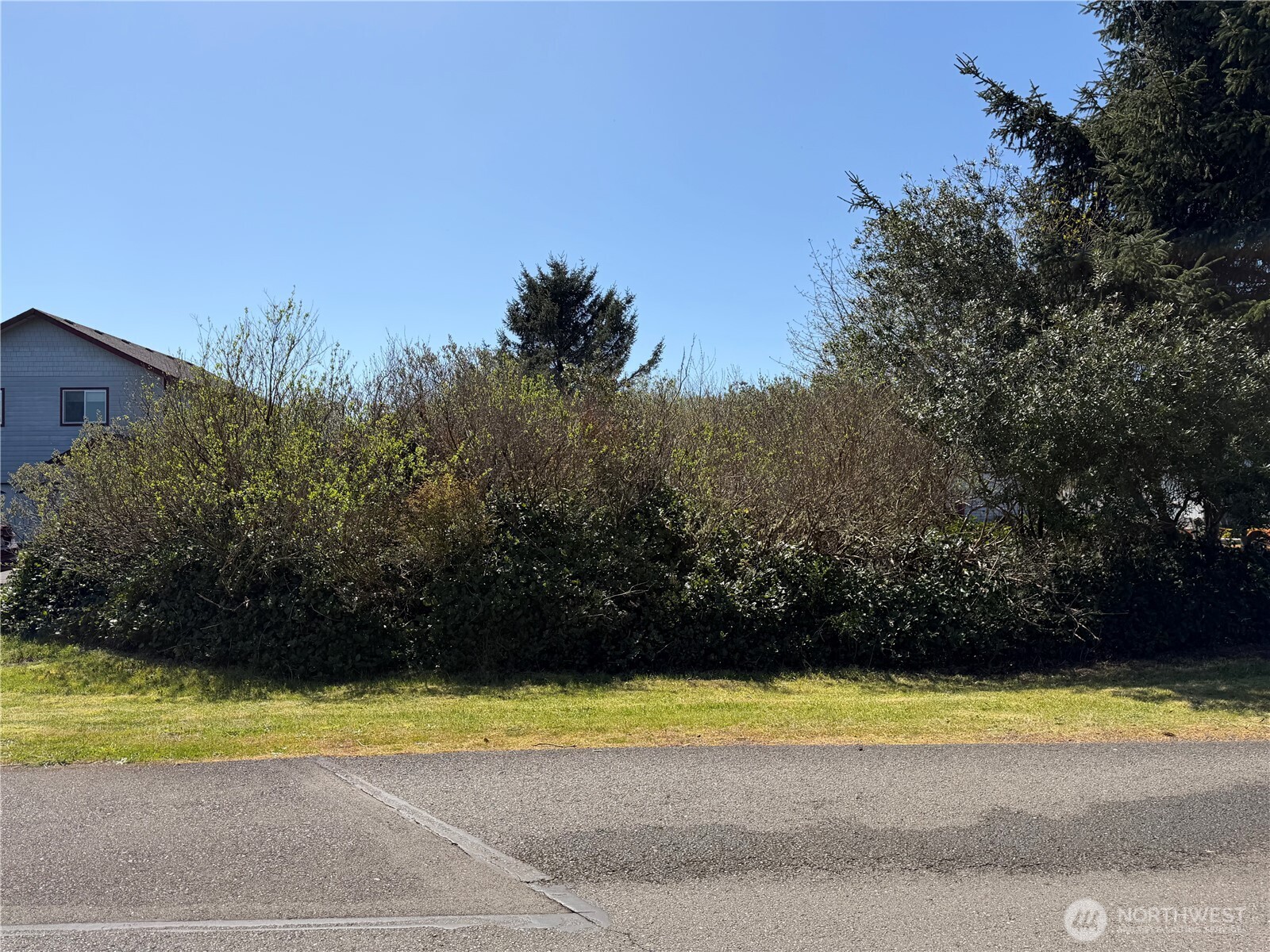191 North Razor Clam Drive Southwest Ocean Shores, WA 98569 - Photo 7 of 10