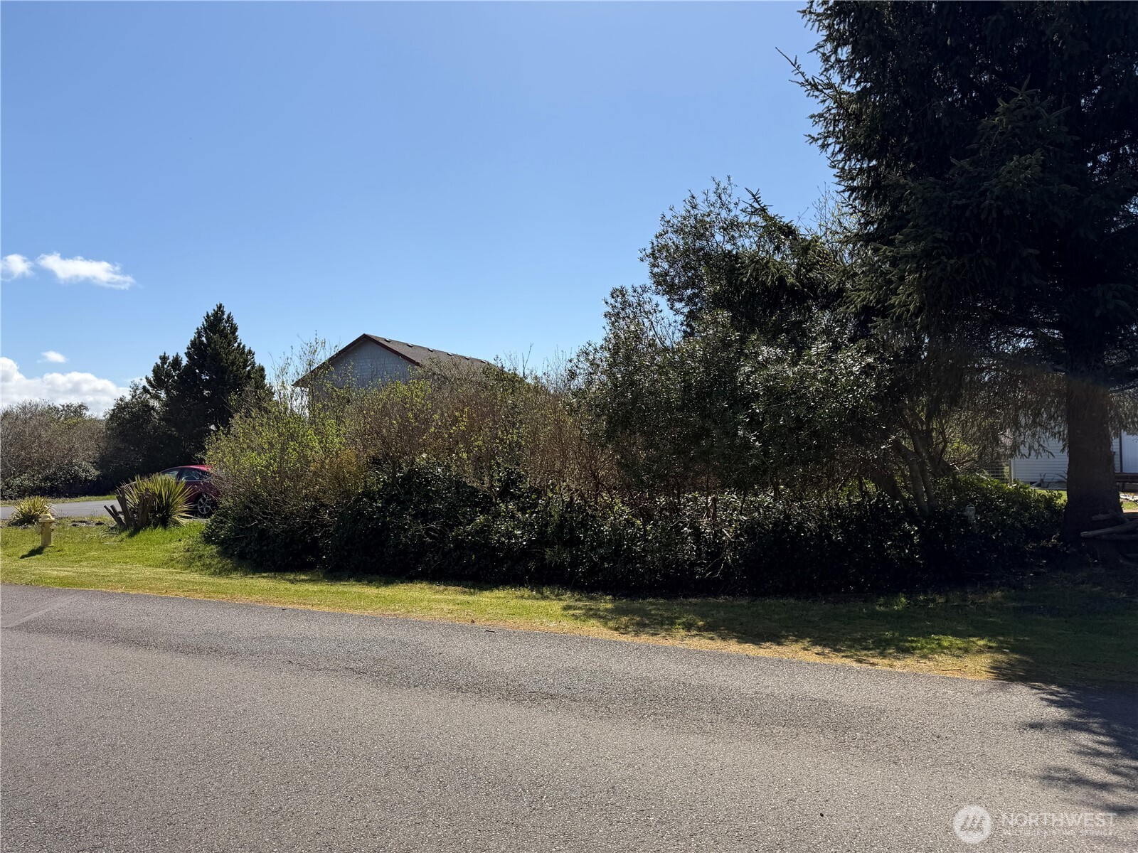 191 North Razor Clam Drive Southwest Ocean Shores, WA 98569 - Photo 10 of 10