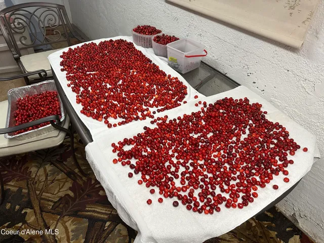 $675,000 | 191 King Street, Wallace, ID 83873