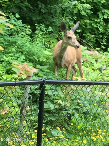 $675,000 | 191 King Street, Wallace, ID 83873