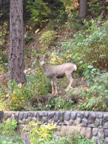 $675,000 | 191 King Street, Wallace, ID 83873