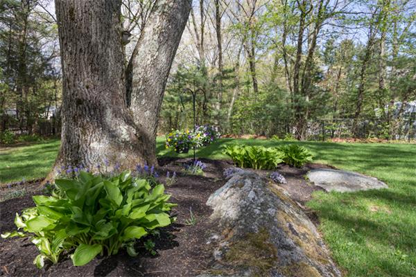 8 Jere Road Wilmington, MA 01887 - Photo 30 of 30 Gallery Image 30