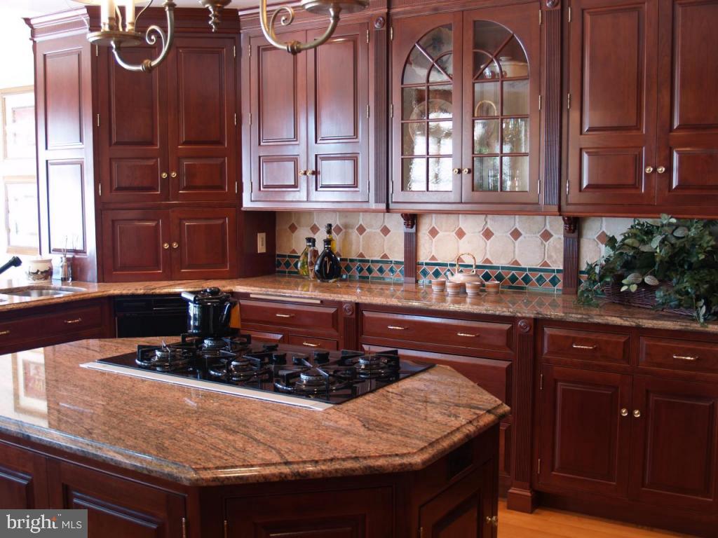 38 Oakhill Drive Lititz, PA 17543 - Photo 12 of 37 a kitchen with wooden cabinets and a sink