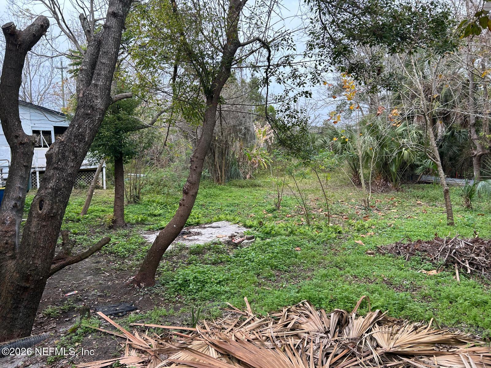 9959 Lem Turner Road Jacksonville, FL 32208 - Photo 18 of 22 a view of a park with large trees