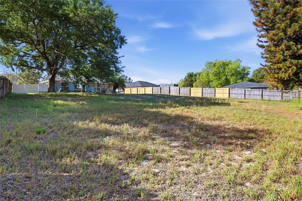 10735 Lake Ralph Drive Clermont, FL 34711 - Photo 28 of 37 a view of a backyard with large trees