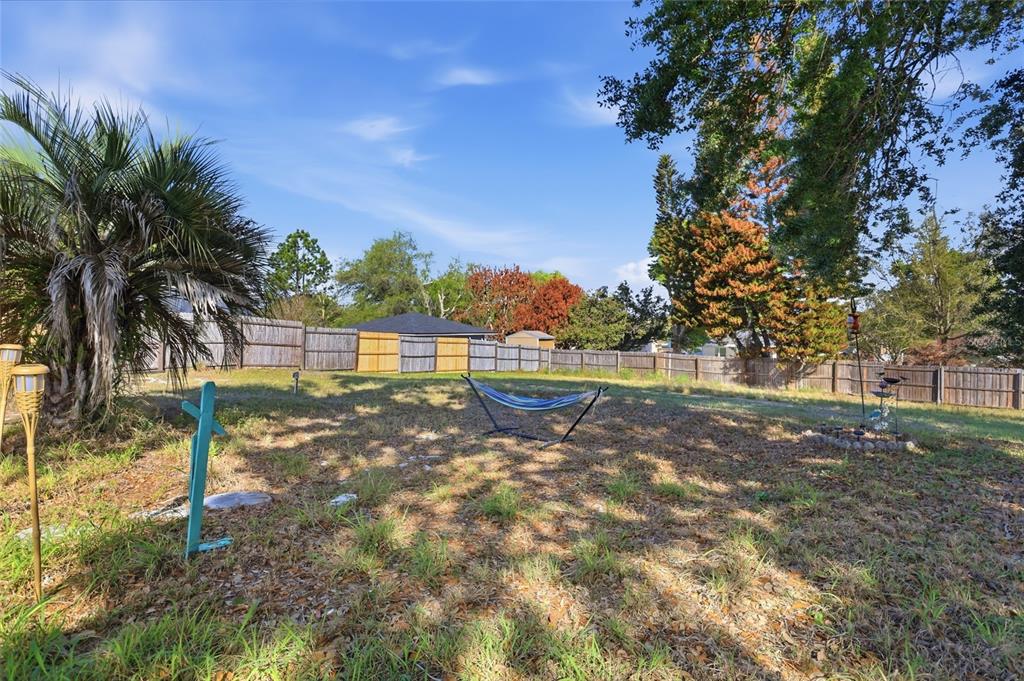 10735 Lake Ralph Drive Clermont, FL 34711 - Photo 29 of 37 a view of a yard with a tree