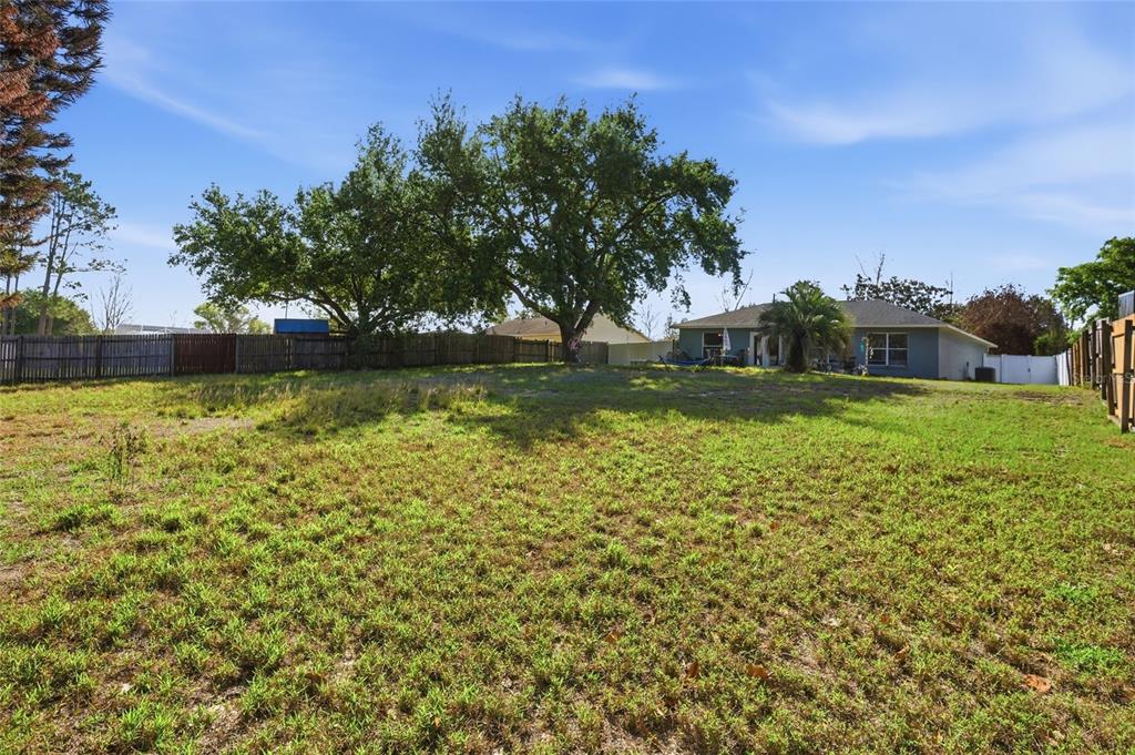 10735 Lake Ralph Drive Clermont, FL 34711 - Photo 4 of 37 a view of a yard with plants and trees