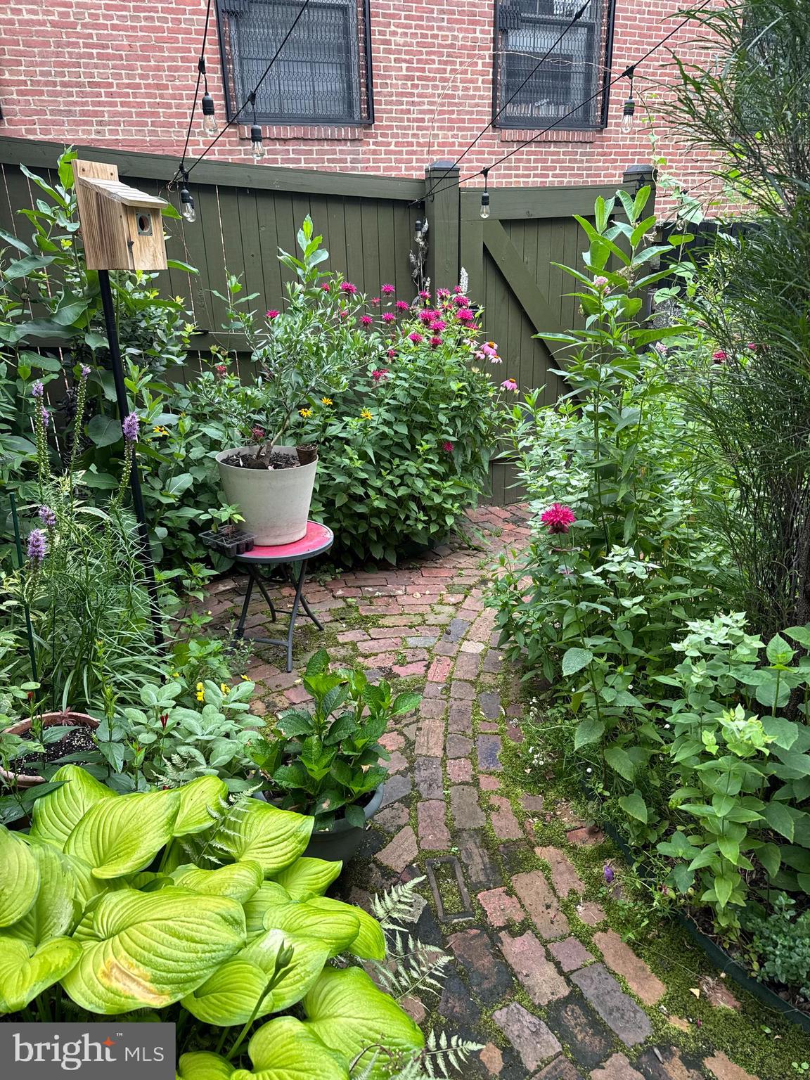 208 East Eager Street Baltimore, MD 21202 - Photo 2 of 31 a view of a backyard with plants