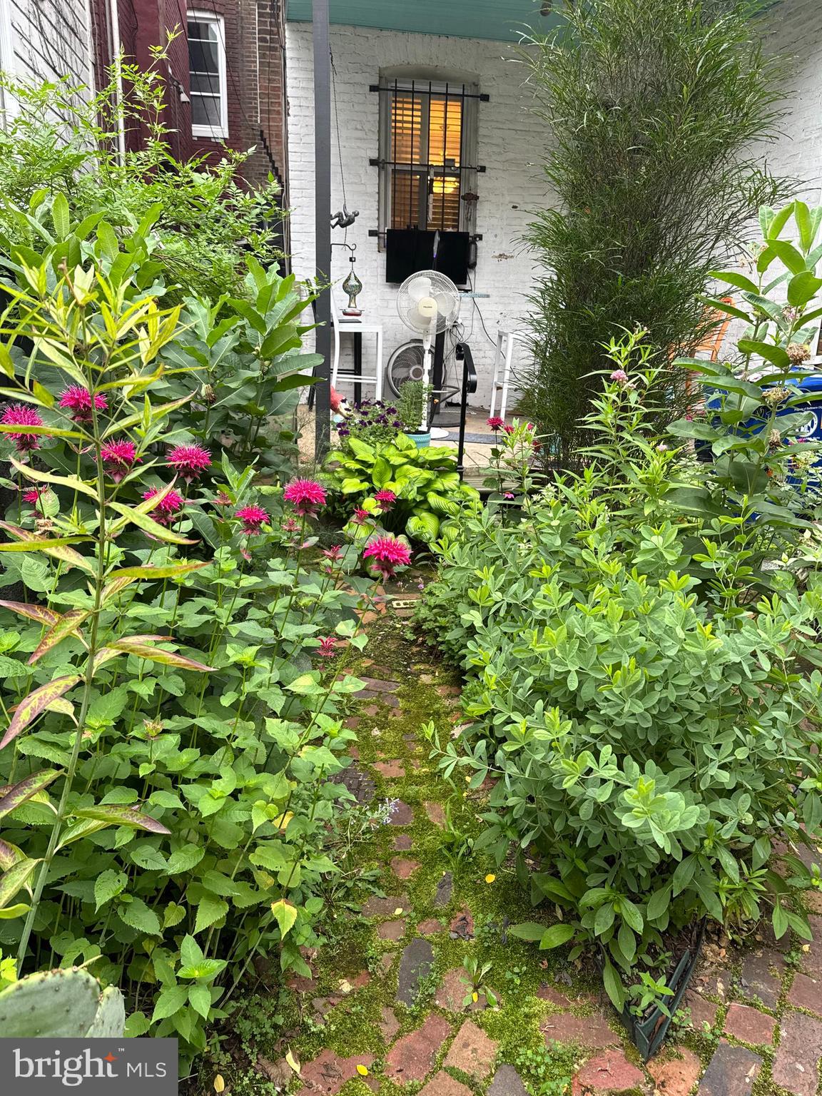 208 East Eager Street Baltimore, MD 21202 - Photo 28 of 31 a view of a house with a tree and flower plants