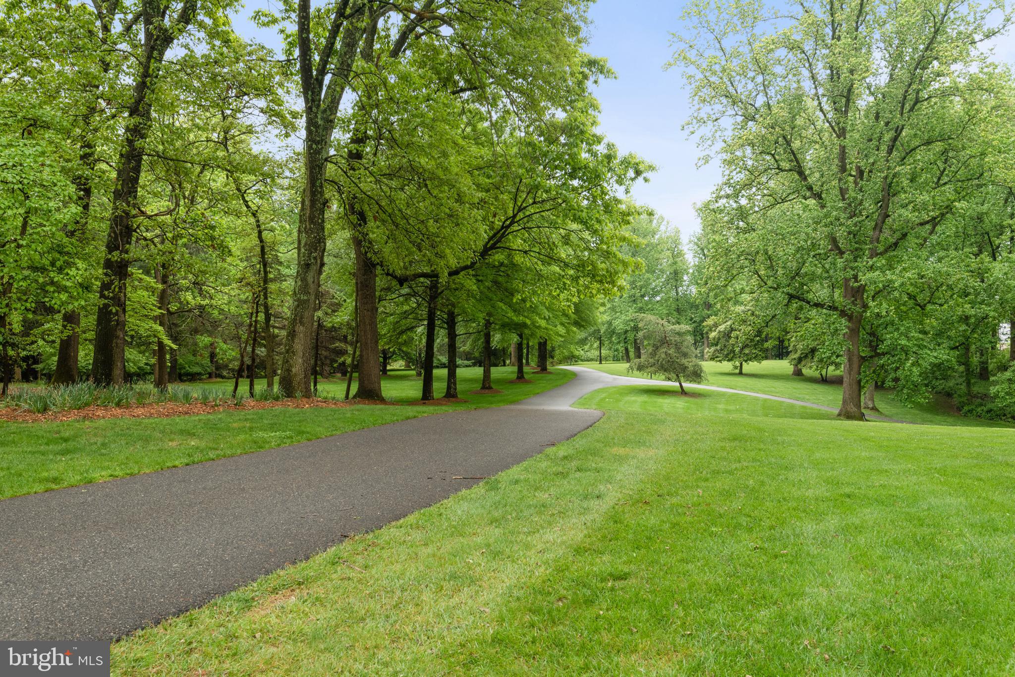 938 Old County Road Severna Park, MD 21146 - Photo 54 of 77 a view of a park with large trees