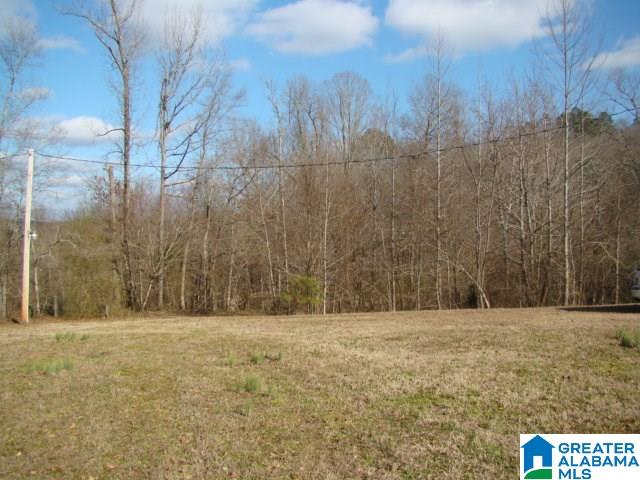 336 Verbon George Road Wellington, AL 36279 - Photo 23 of 25
