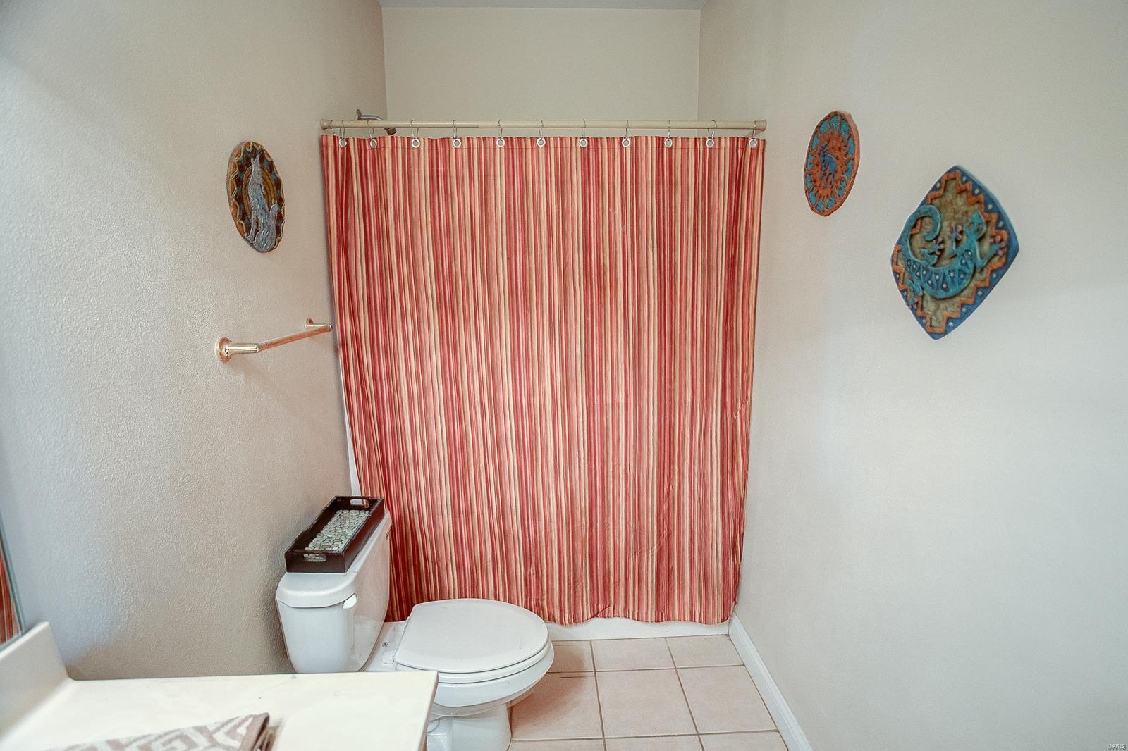 426 Covington Drive Waterloo, IL 62298 - Photo 60 of 87