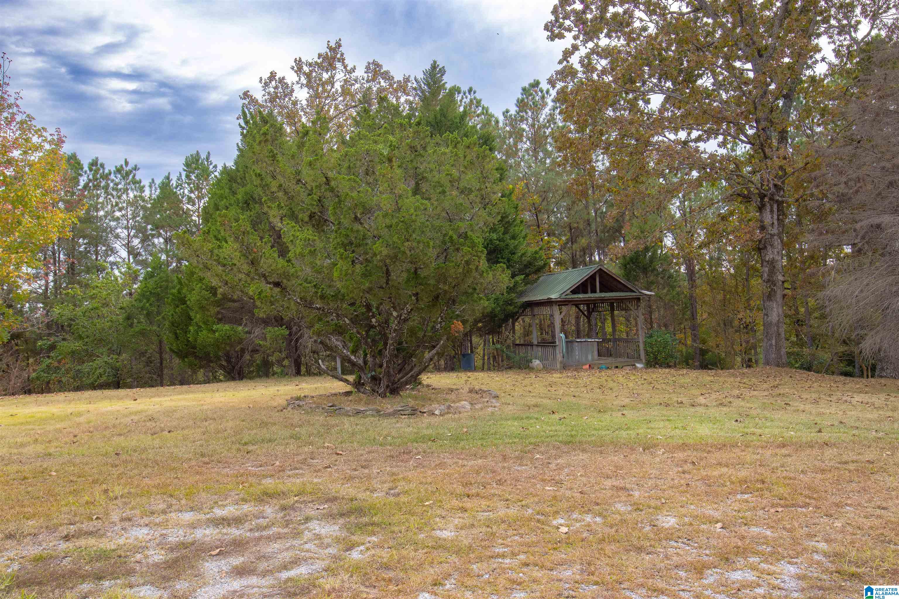 1370 County Road 759 Clanton, AL 35046 - Photo 51 of 52