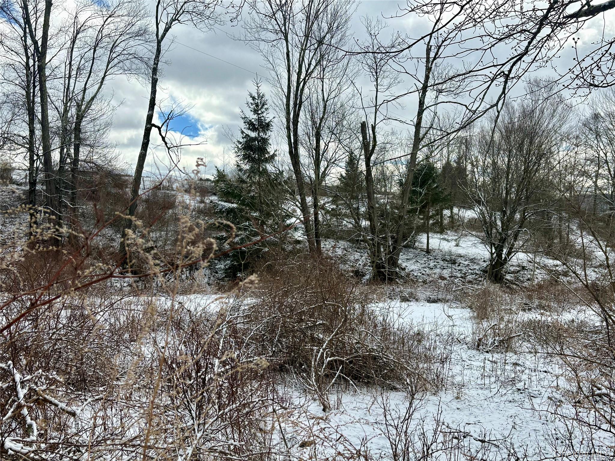14 Frelich Rd/t R 28 Fremont Center, NY 12736 - Photo 20 of 47