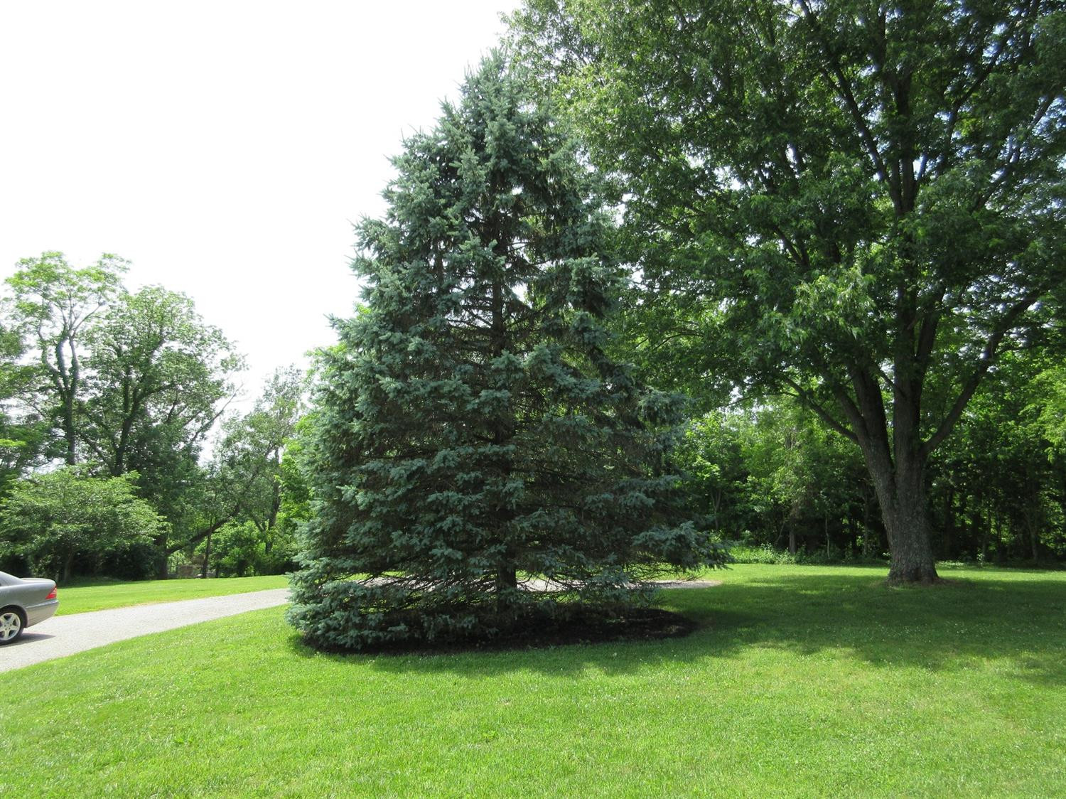 2510 Miller Hunt Road Winchester, KY 40391 - Photo 18 of 47 Photo 18