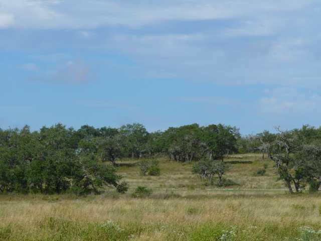 9000 Robinson Family Road Austin, TX 78738 - Photo 1 of 1 Gallery Image 1