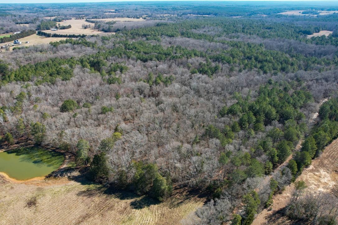 0 Gene Fleming Road Iva, SC 29655 - Photo 12 of 33