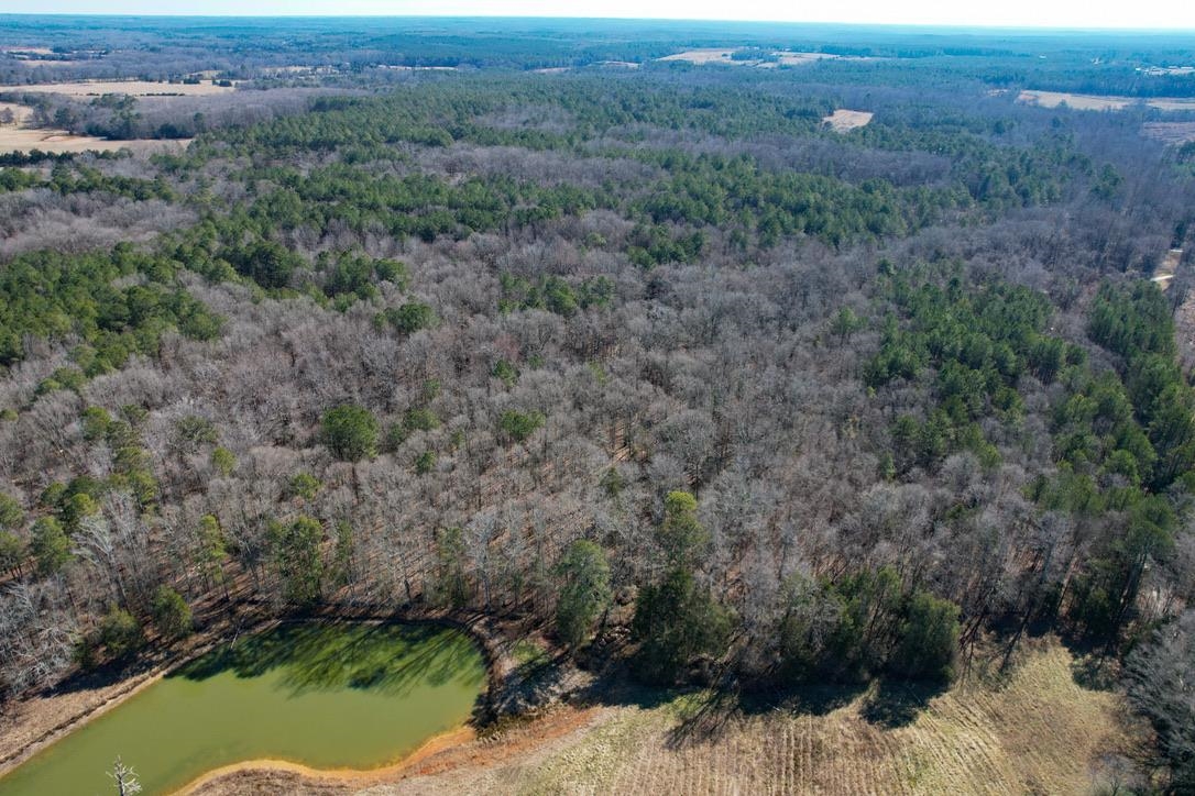 0 Gene Fleming Road Iva, SC 29655 - Photo 13 of 33