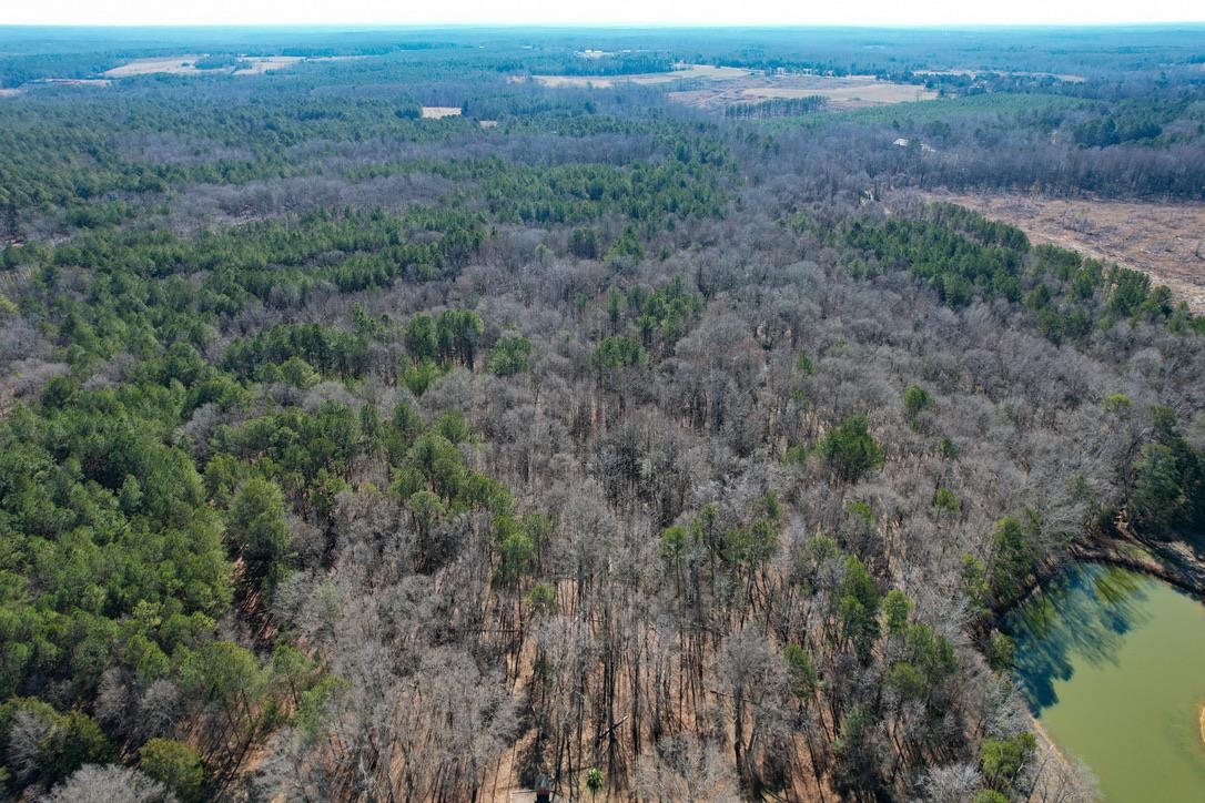 0 Gene Fleming Road Iva, SC 29655 - Photo 14 of 33