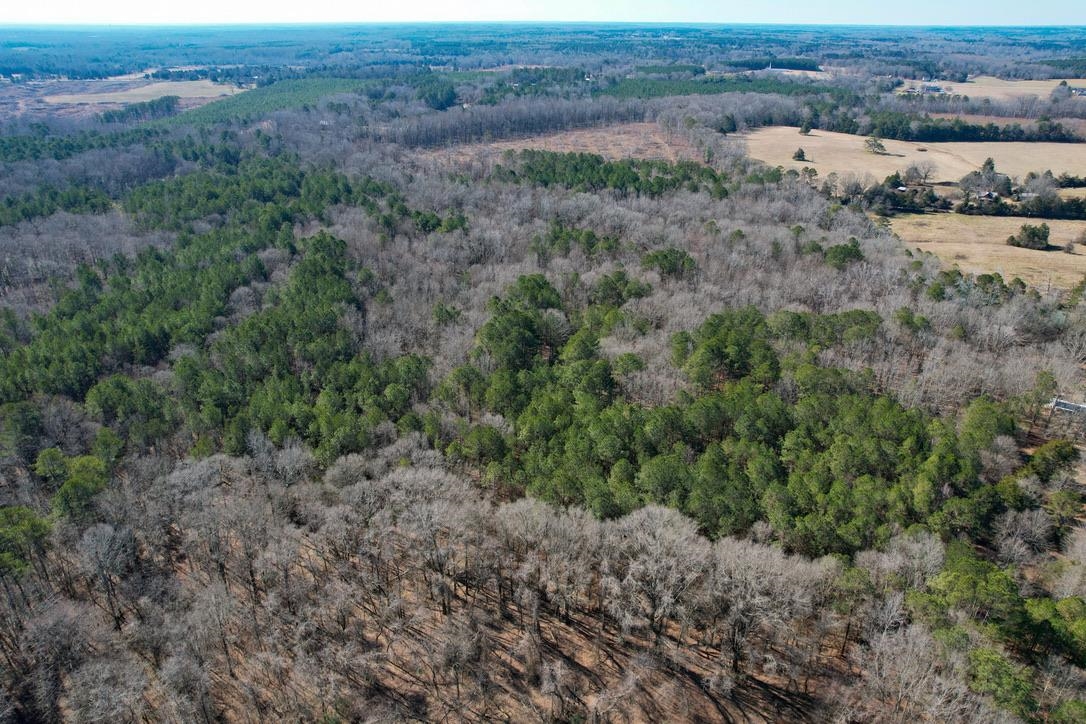 0 Gene Fleming Road Iva, SC 29655 - Photo 16 of 33