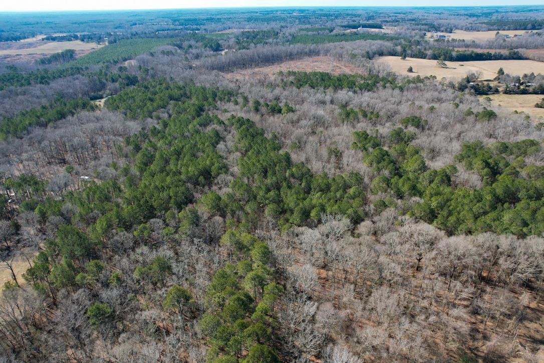 0 Gene Fleming Road Iva, SC 29655 - Photo 17 of 33