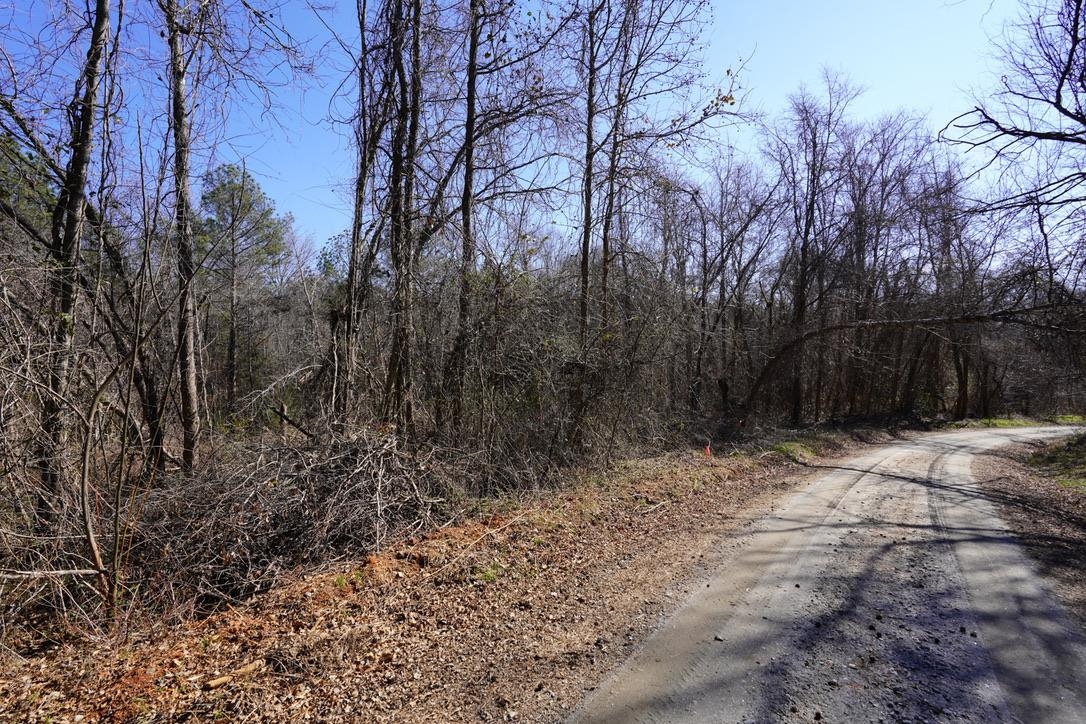 0 Gene Fleming Road Iva, SC 29655 - Photo 2 of 33