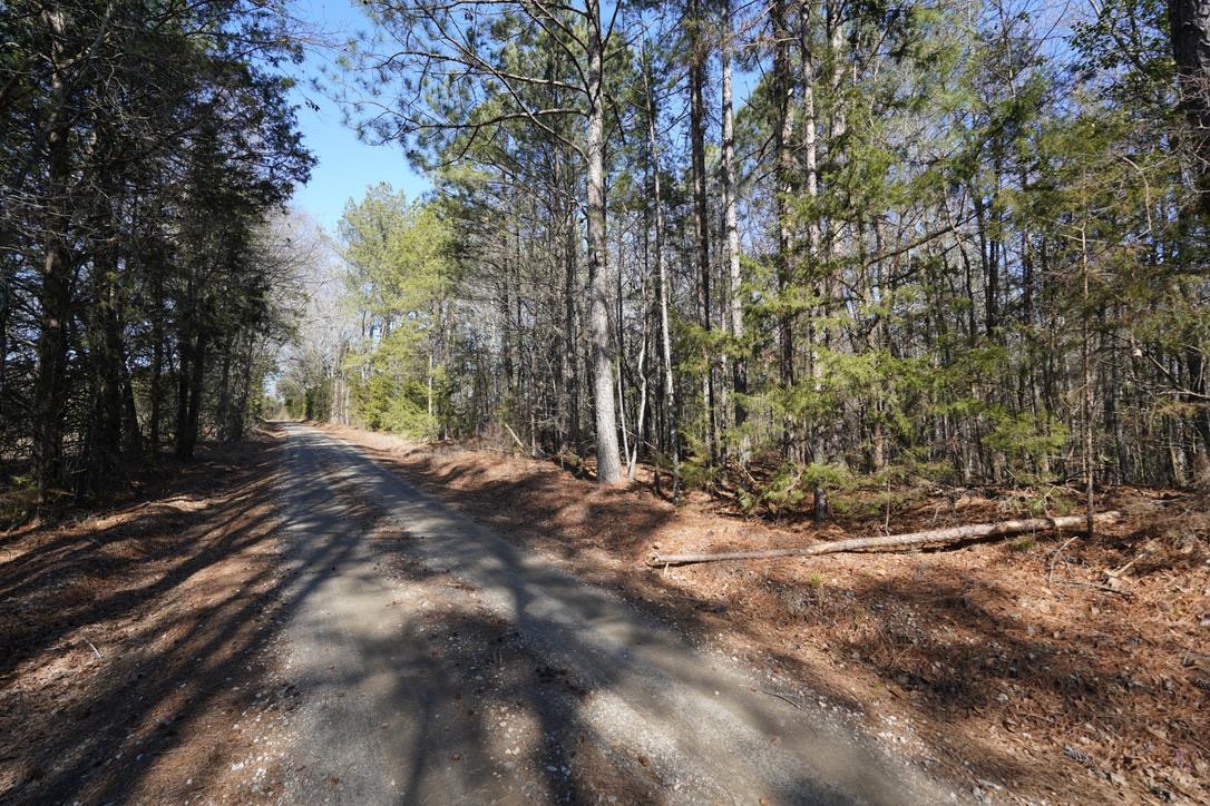 0 Gene Fleming Road Iva, SC 29655 - Photo 30 of 33