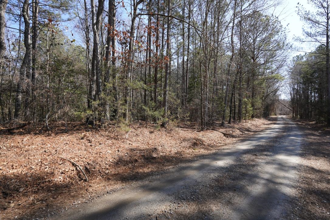 0 Gene Fleming Road Iva, SC 29655 - Photo 3 of 33