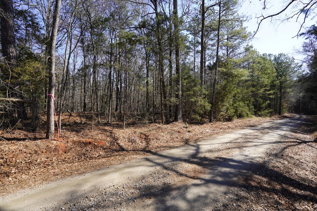 0 Gene Fleming Road Iva, SC 29655 - Photo 31 of 33