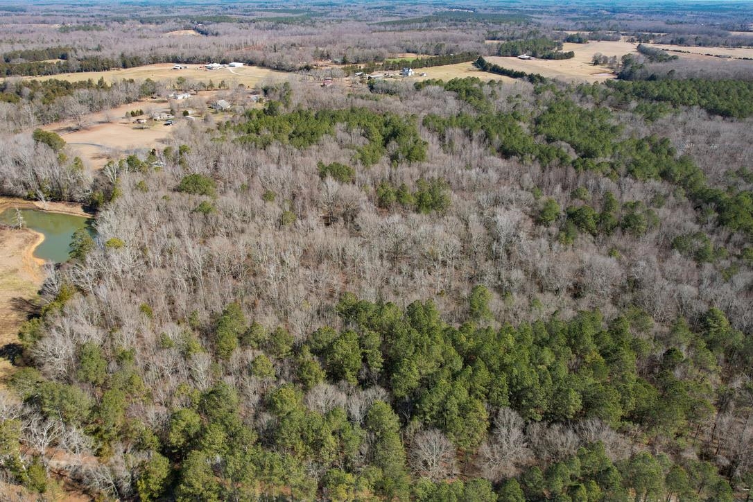 0 Gene Fleming Road Iva, SC 29655 - Photo 6 of 33