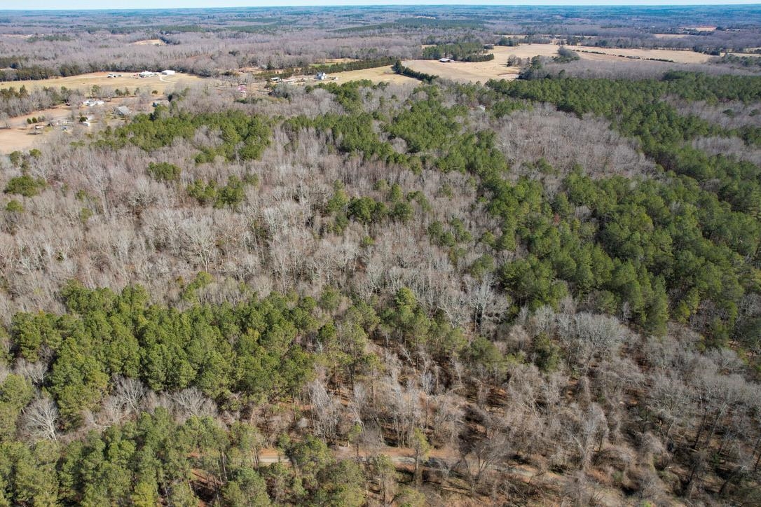 0 Gene Fleming Road Iva, SC 29655 - Photo 8 of 33