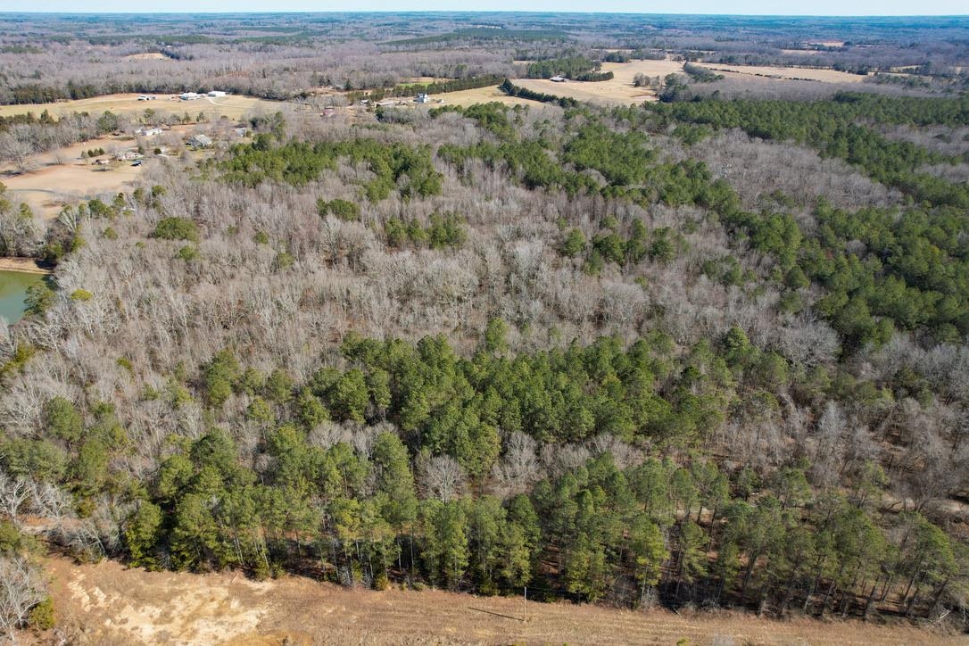 0 Gene Fleming Road Iva, SC 29655 - Photo 9 of 33