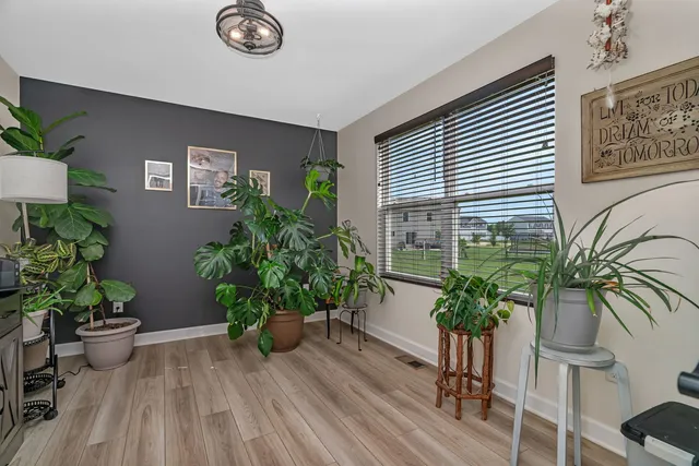a room with wooden floor and a potted plant