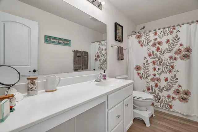 a bathroom with a sink toilet a mirror and shower curtain