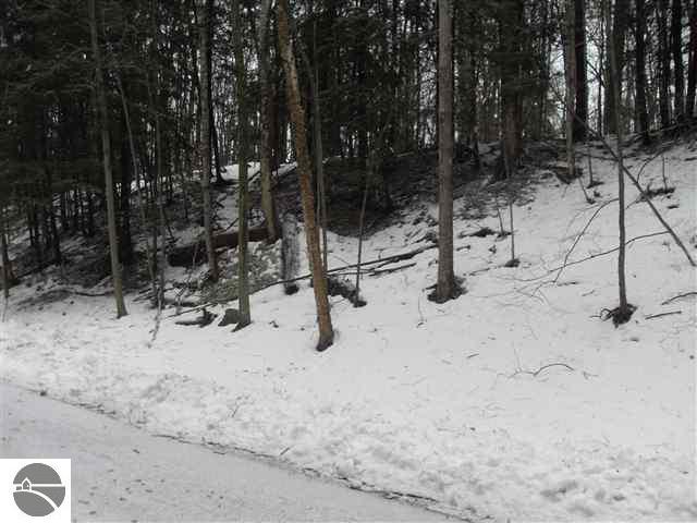 0 East Omena Point Road Omena, MI 49674 - Photo 6 of 9 1733690-5.JPG
