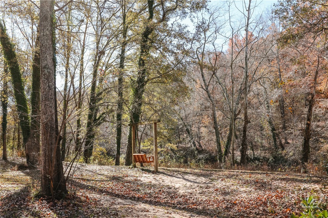 255 Plum Nelly Road Athens, GA 30606 - Photo 60 of 71