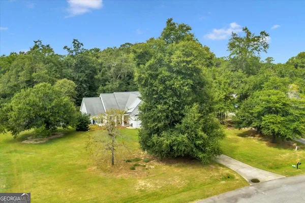 a view of a backyard with plants and large trees