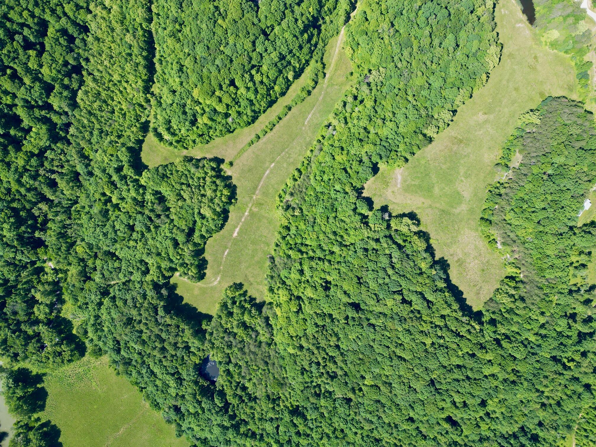 1235 Long Branch Road Beattyville, KY 41311 - Photo 19 of 46 dji_fly_20260603_110352_11_1780500054541