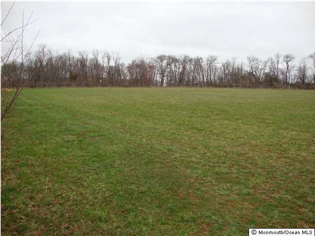 24 Forman Road Millstone Township, NJ 08535 - Photo 4 of 11 a view of field with trees in the background